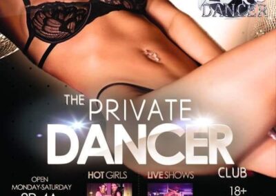 The Private Dancer (Banner) | Private Dancer Club
